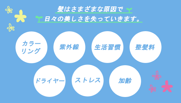 髪が傷む理由