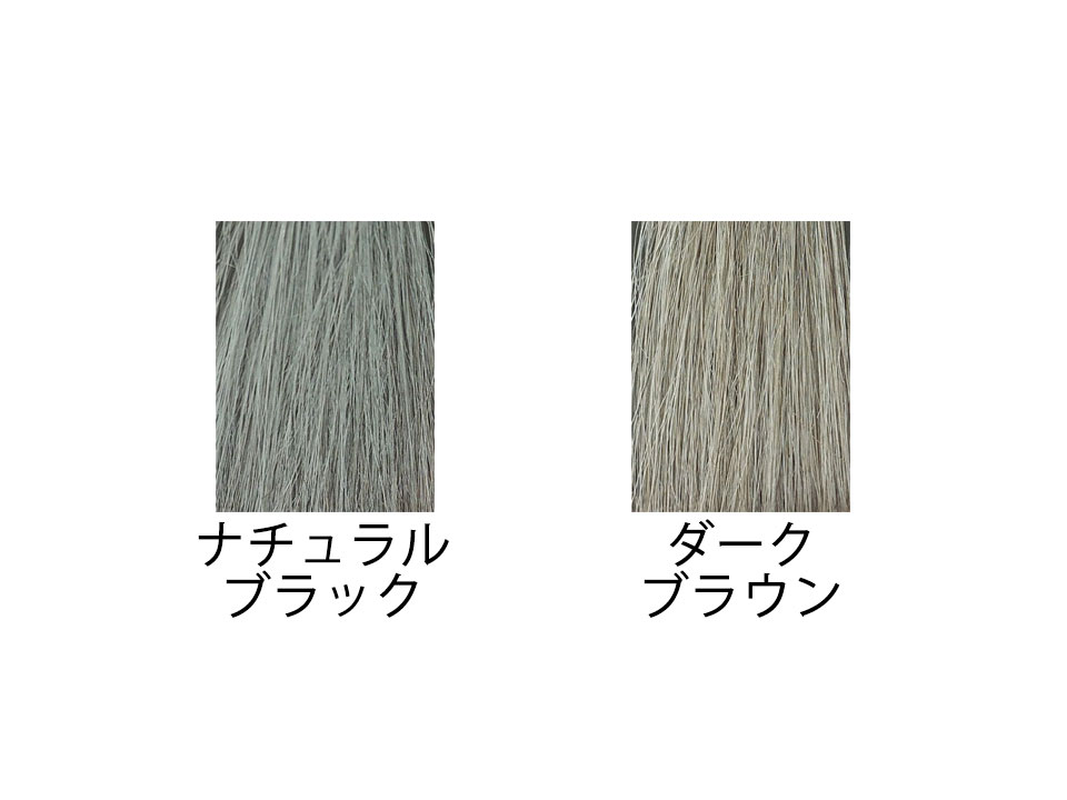 サロンドプロナチュラルグレイッシュのカラバリ写真