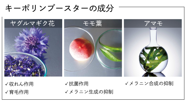 キーポリンブースターの成分