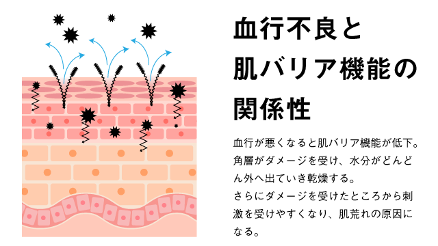 血行不良になると肌バリア機能が低下