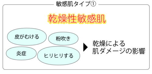 敏感肌タイプ1:乾燥性敏感肌