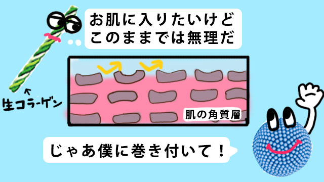 生コラーゲンが出来るまで