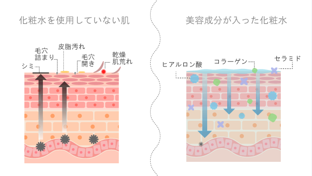 夜用化粧水を選ぶなら保湿性の高いもの
