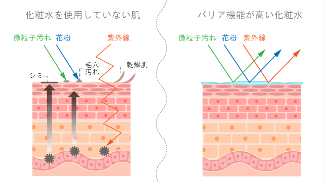 朝用化粧水を選ぶならガリア機能が高いもの