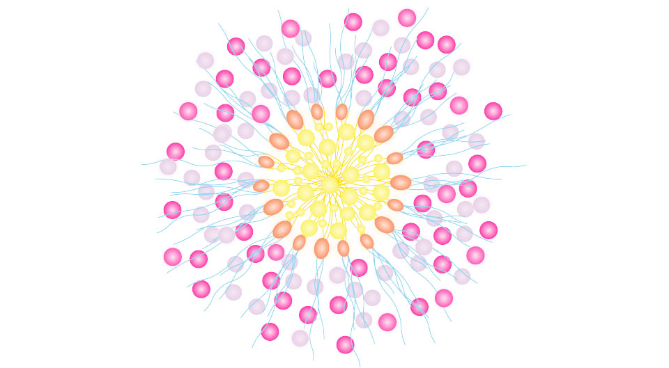 美肌浸透ミセル