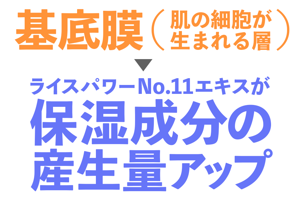 ライスフォースの口コミ 効果を肌の専門家が分析 実際に30日試した結果 ハリ肌になるの Roccogirl