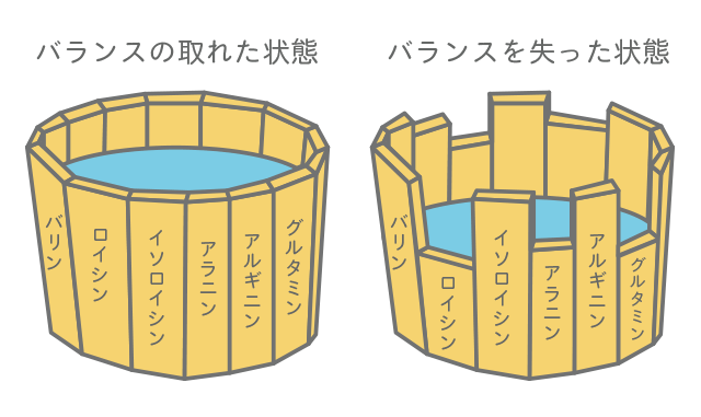 アミノ酸 桶理論