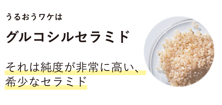 保湿の鍵はグルコシルセラミド
