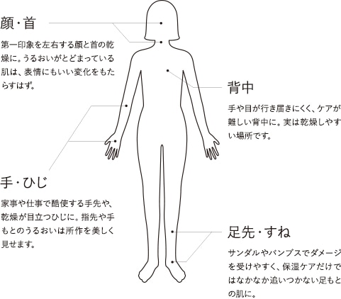 全身の肌にアプローチするディフェンセラ