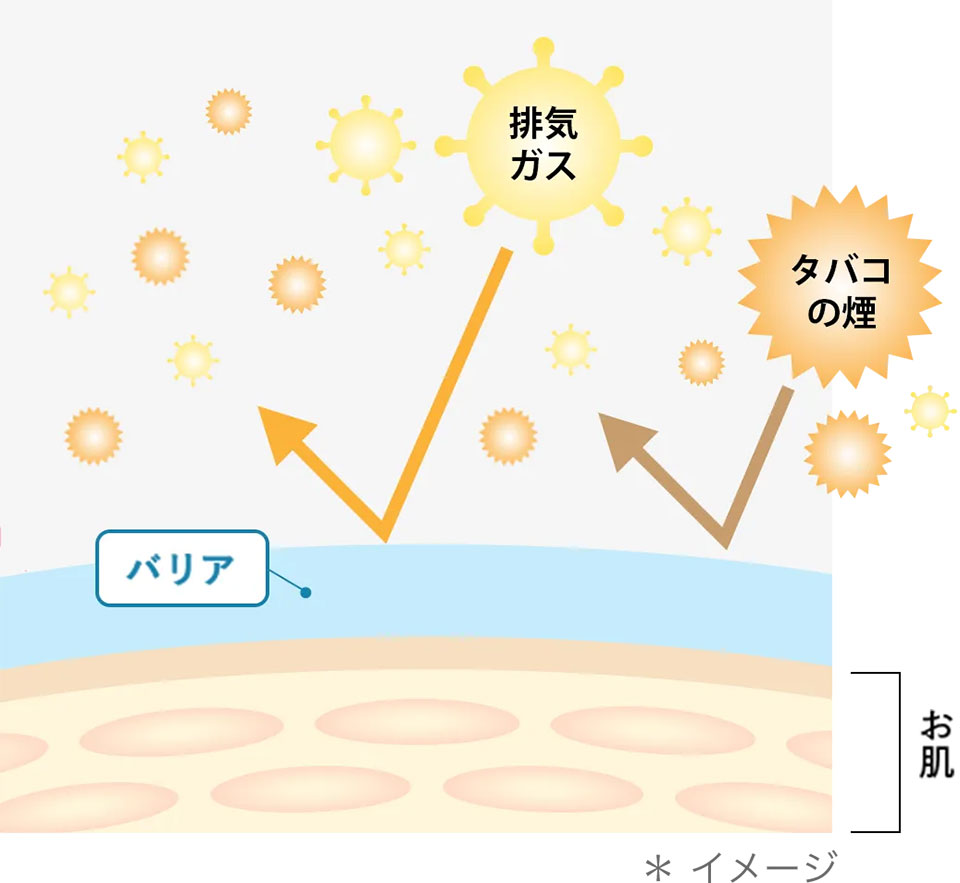 コラリッチアンチポリューション