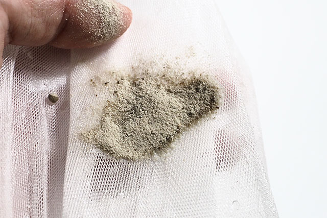 泡立ちチェック1