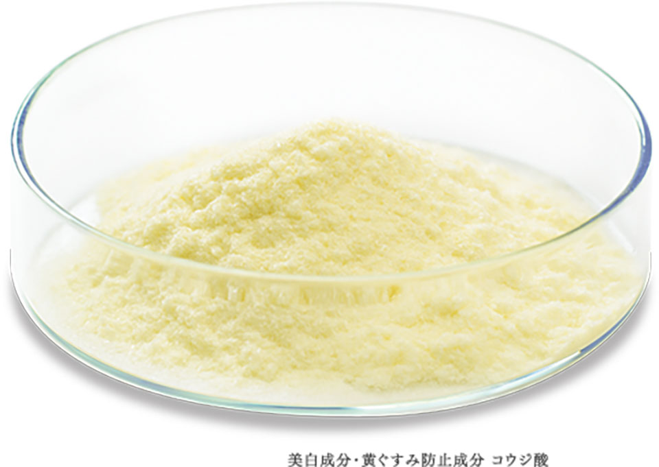 コウジ酸の写真
