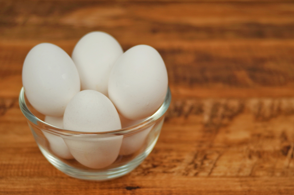 たまごの写真