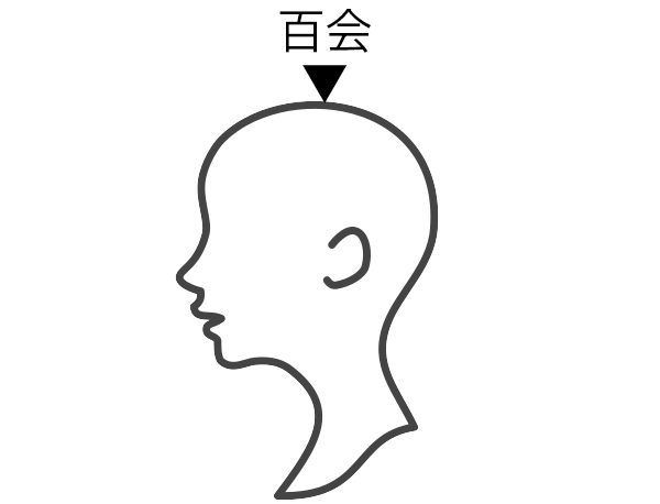 百会