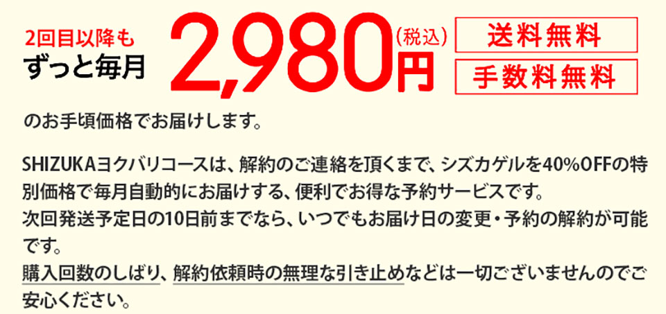シズカゲル定期についての詳細