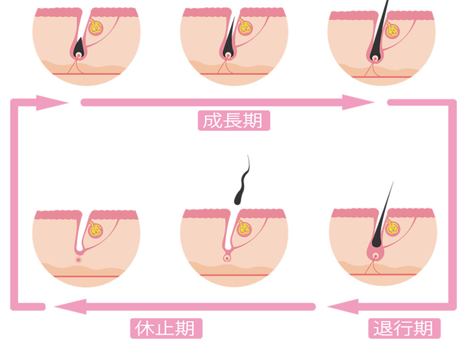 ヘアサイクル画像