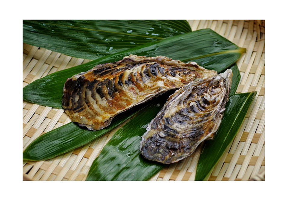 カキ(亜鉛)の写真