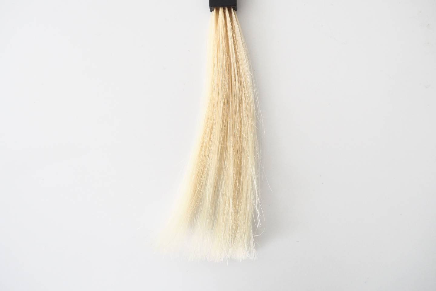 人毛白髪の写真