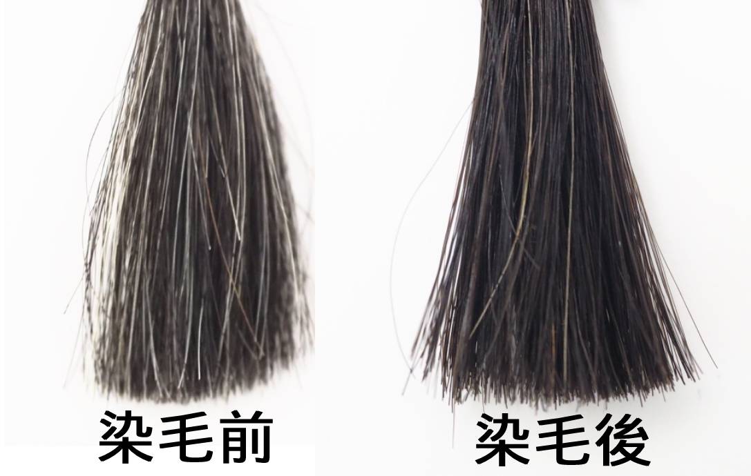 グローリンワンクロスで人毛白髪50%の毛束を3回染毛した写真