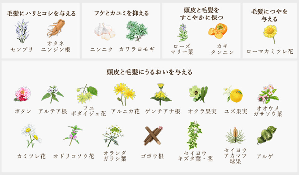 綺和美RootVanish成分画像