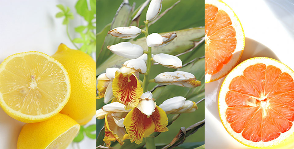 メラノCCに配合される保湿成分の写真