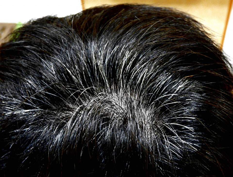 メンズ用の白髪染めトリートメントランキング10選 毛髪診断士が徹底比較 自然に染まり頭皮に優しいアイテムを専門家が厳選 Roccogirl