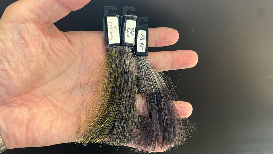 塩基性+HC染料タイプの染まり比較