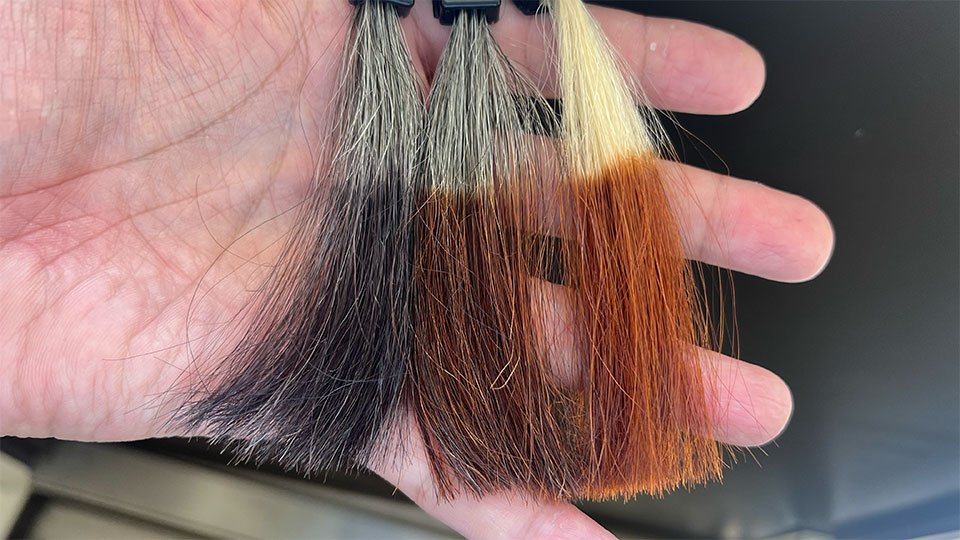 ブラックとベージュブラウンの染まりを比較