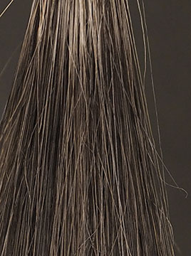 ビゲンアッシュブラウン50%白髪2回染毛