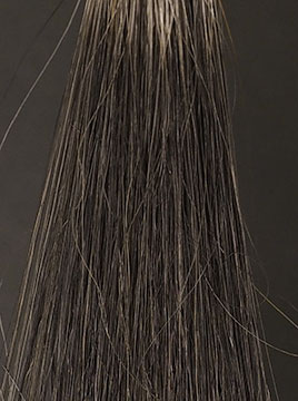 ビゲンアッシュブラウン50%白髪5回染毛