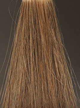 ビゲンダークブラウン1回染毛