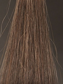 ビゲンダークブラウン5回染毛