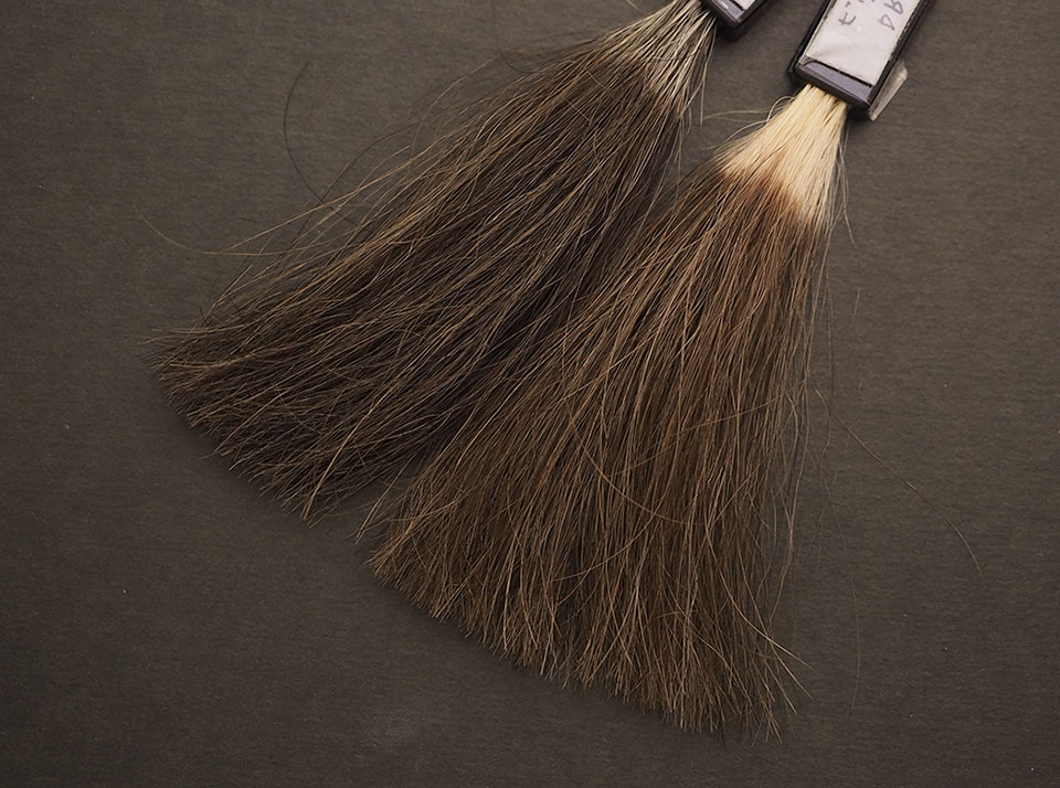 ビゲンカラートリートメントでの5回染毛時