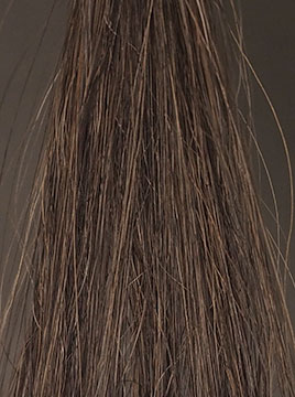 ビゲンダークブラウン50%白髪5回染毛