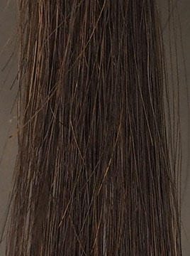 ビゲンダークブラウンブリーチ毛1回染毛