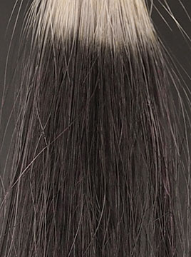 ビゲンナチュラルブラック4回染毛