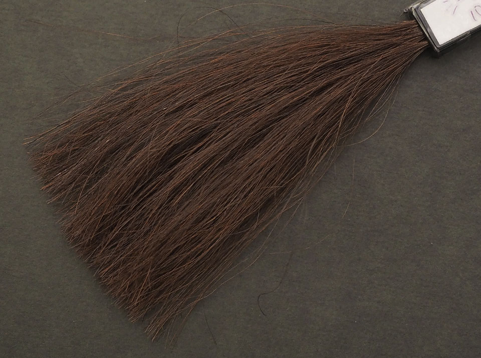 ドクターシーラボカラートリートメント ダークブラウン5回染毛時