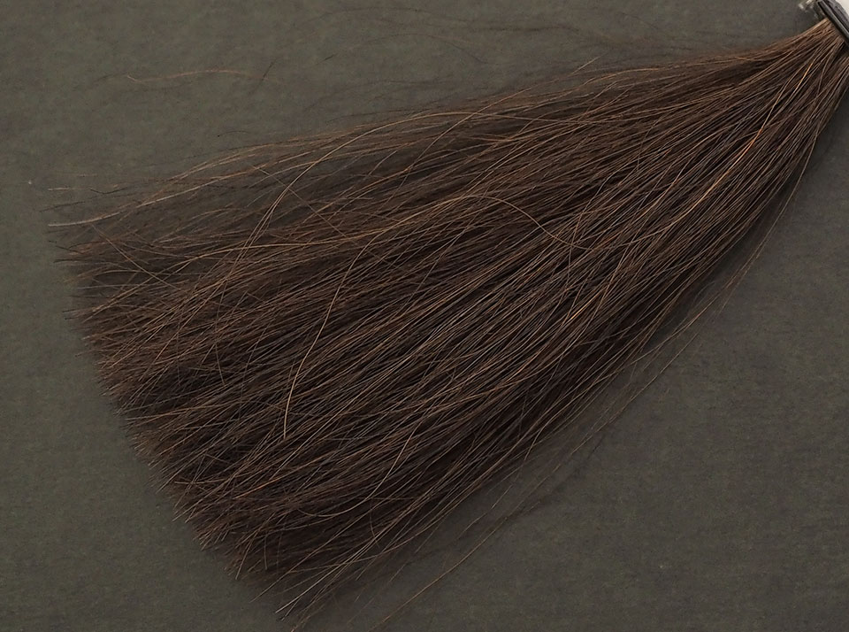 サイオス カラートリートメント ダークブラウン5回染毛時