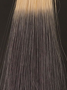 デイラルカラー カラートリートメントアッシュグレイ3回染毛