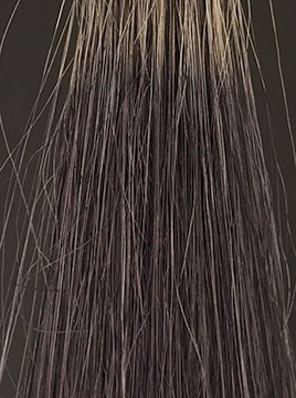 デイラルカラー カラートリートメントアッシュグレイ50%白髪3回染毛