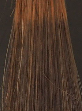 デイラルカラー カラートリートメントアッシュグレイブリーチ毛1回染毛