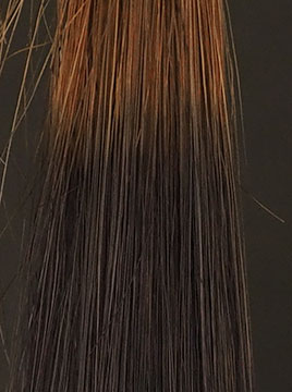 デイラルカラー カラートリートメントアッシュグレイブリーチ毛3回染毛