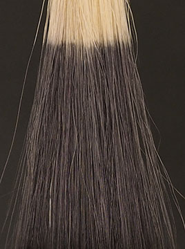 デイラルカラー カラートリートメントブラック1回染毛