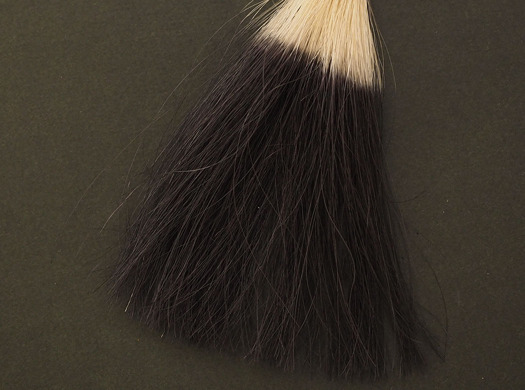 ブラック5回染毛