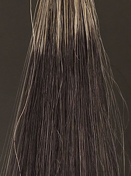 デイラルカラー カラートリートメントブラック50%白髪2回染毛