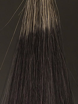 デイラルカラー カラートリートメントブラック50%白髪3回染毛