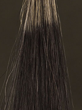 デイラルカラー カラートリートメントブラック50%白髪4回染毛