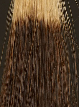 デイラルカラー カラートリートメントブラウン4回染毛