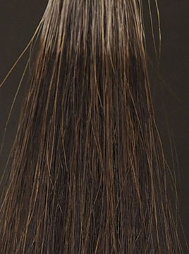 ヘアカラートリートメント デイラルカラー アッシュグレー 200g×4本セット デイラルカラー -Day Ral Color- ｜ 白髪ケア：美髪カラー