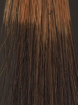 デイラルカラー カラートリートメントブラウンブリーチ毛1回染毛